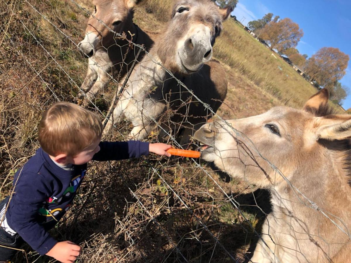 Blackbrook Farm Underberg Eksteriør bilde