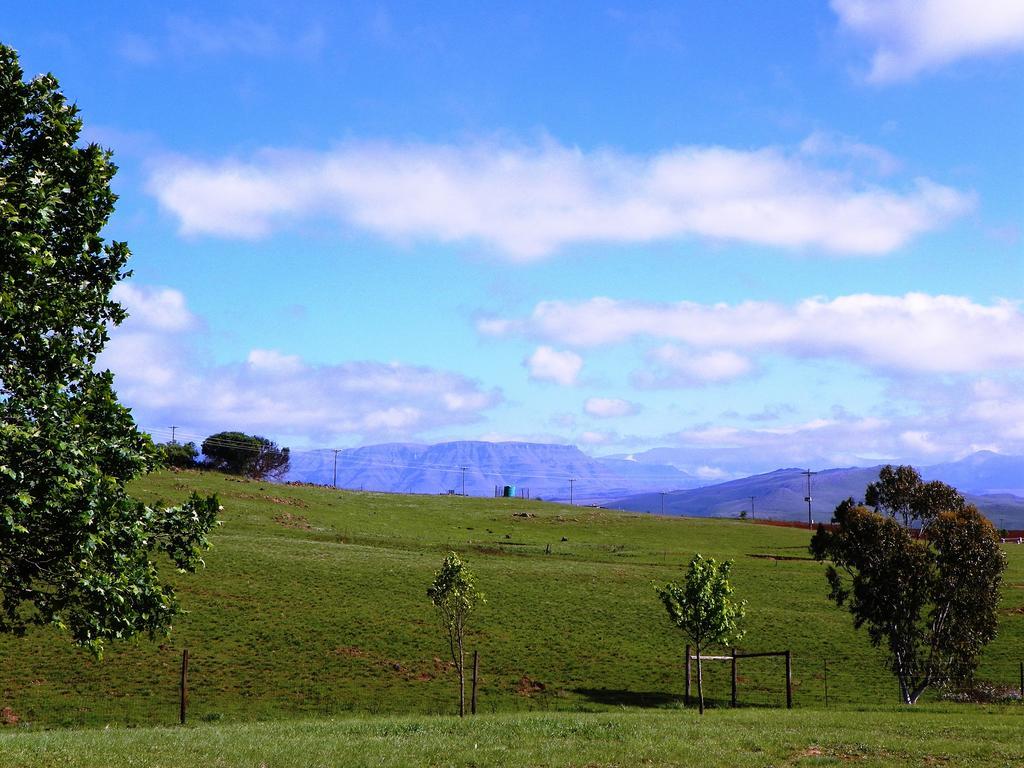 Blackbrook Farm Underberg Eksteriør bilde